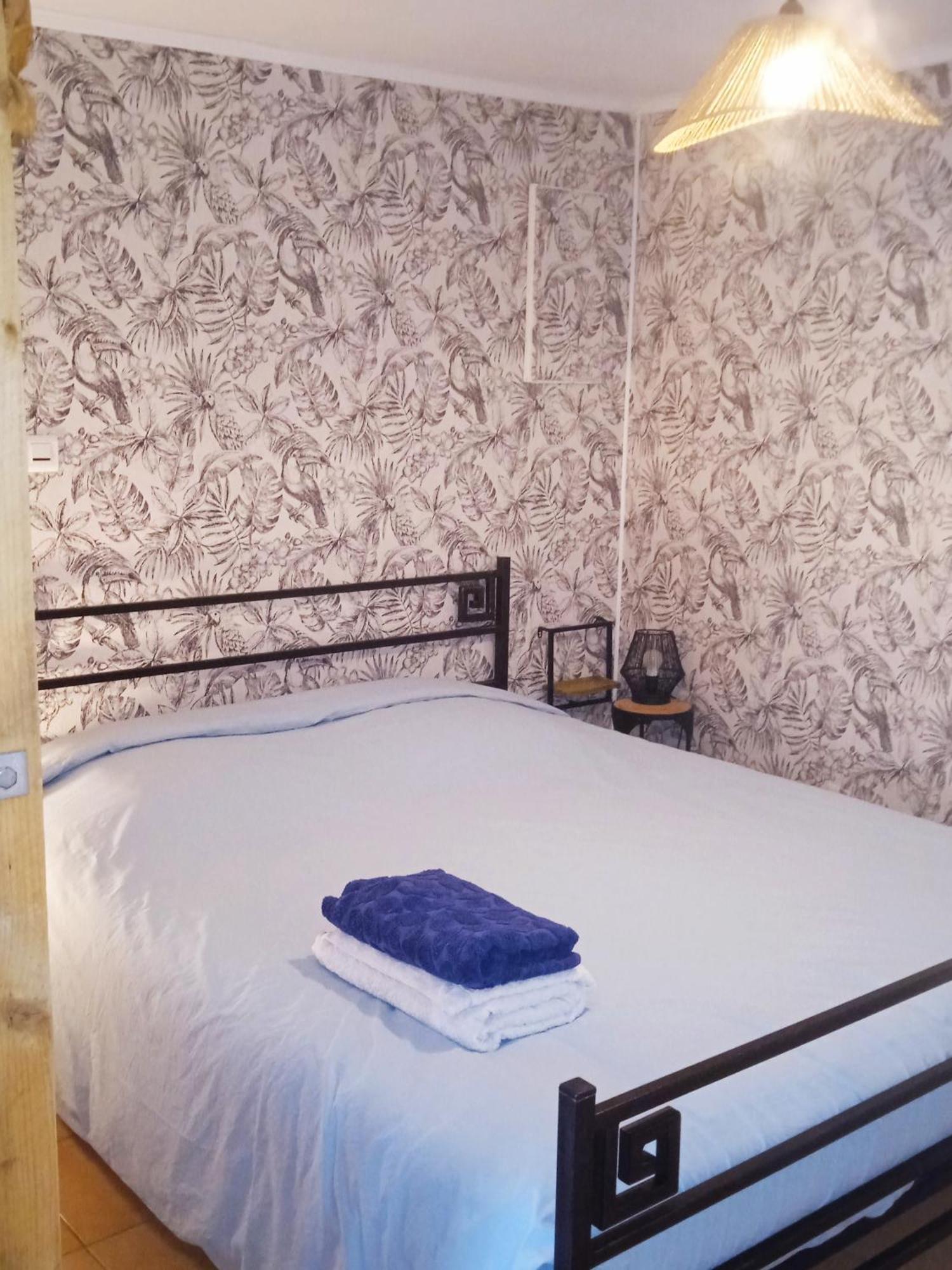 Studio La Roseraie Avec Jardin Privatif Proche Centre Ville Moissac Dış mekan fotoğraf